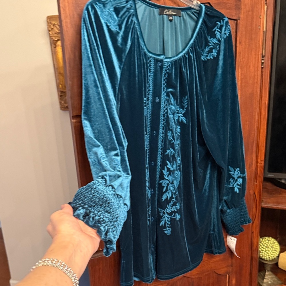 Colessa Teal Velvet Blouse with Floral Embroidery